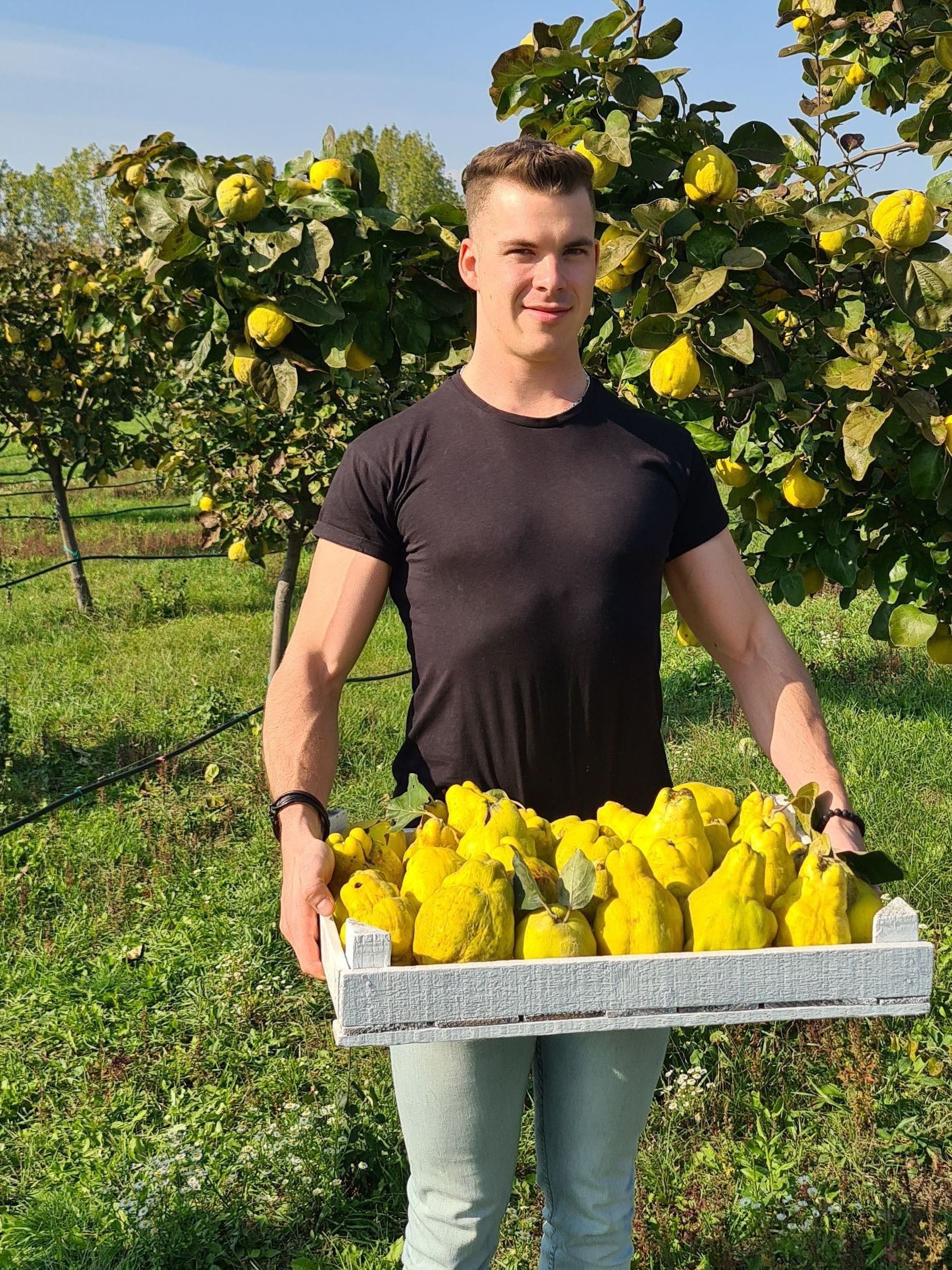 Tamás, a pincészet marketing felelose